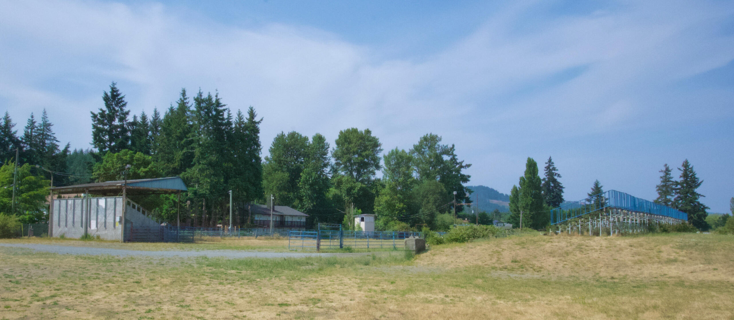 #5 Up in the bleachers