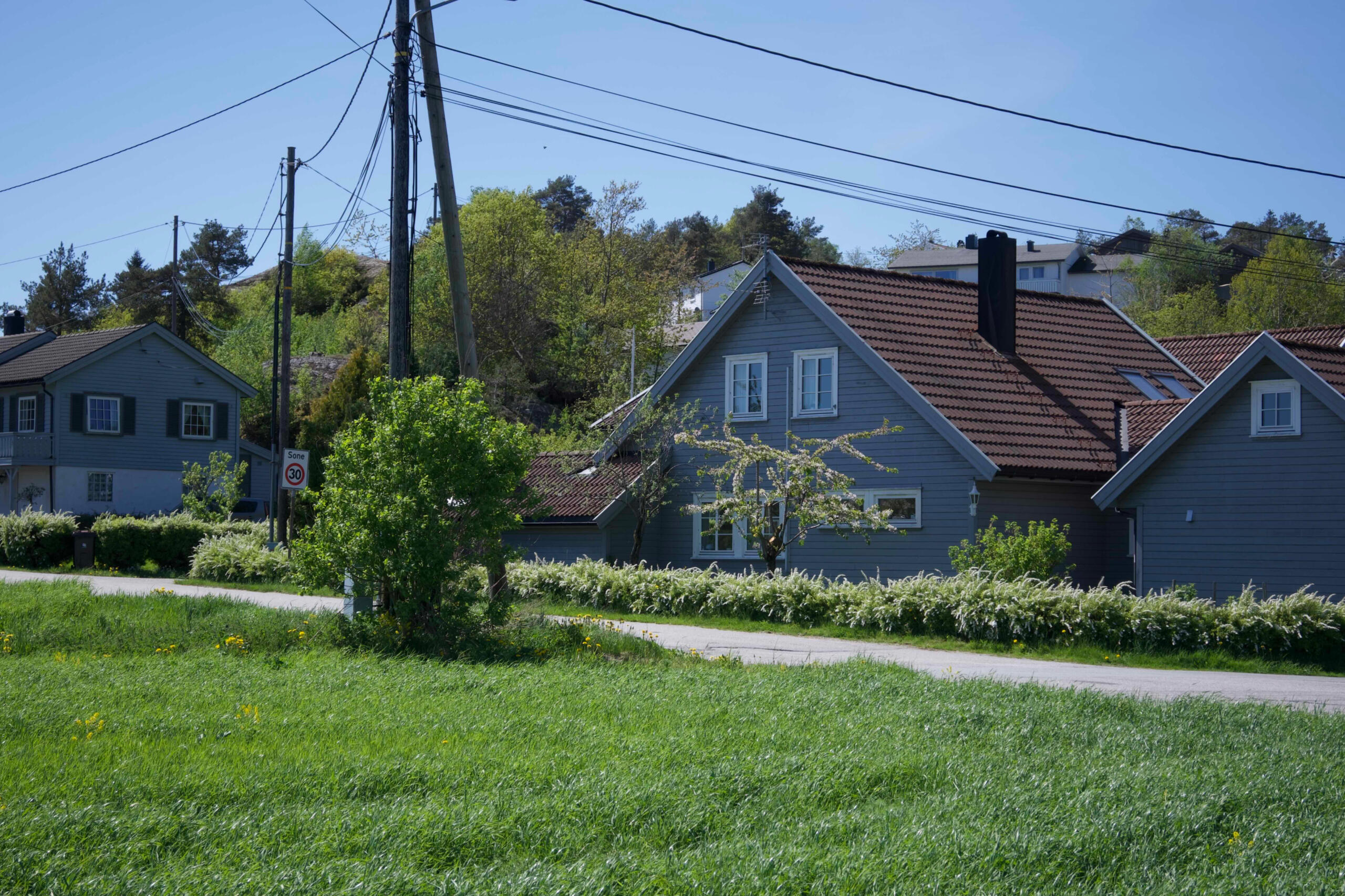 #9 Someone needs to cut the lawn