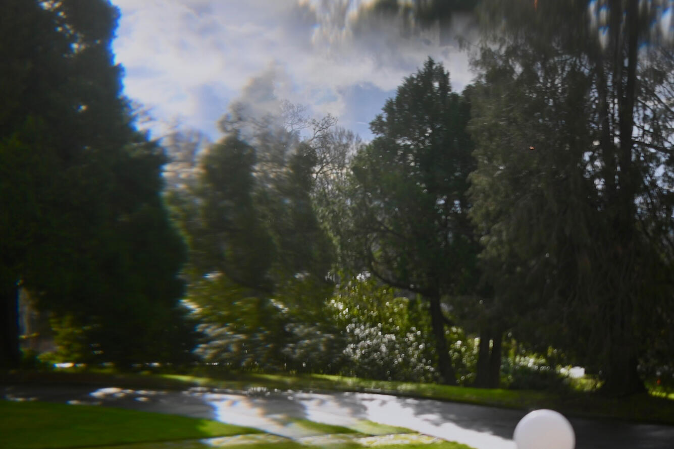 #5 Through the looking glass