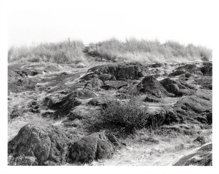 #1 Looking at the top of Mt. Tolmie