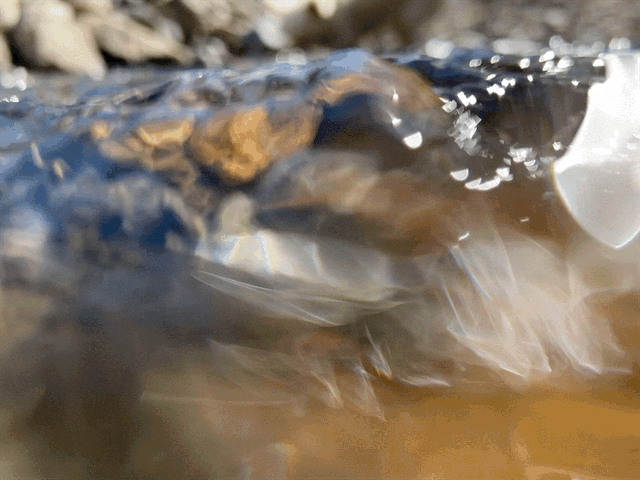 A Summers Day in Langford